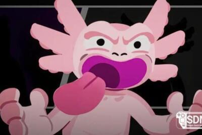 Cursed Words: o roguelike de palavras que traz números e frações ao tabuleiro