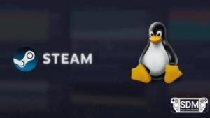 Linux segue em alta no Steam: abril de 2026 registra 4,52% de participação