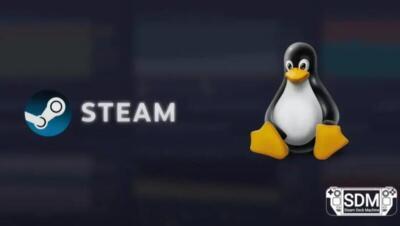 Linux segue em alta no Steam: abril de 2026 registra 4,52% de participação