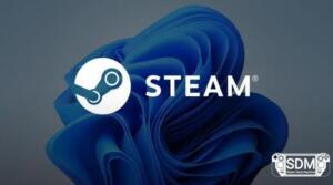Windows 11 ganha espaço entre gamers enquanto Linux recua, aponta levantamento da Steam